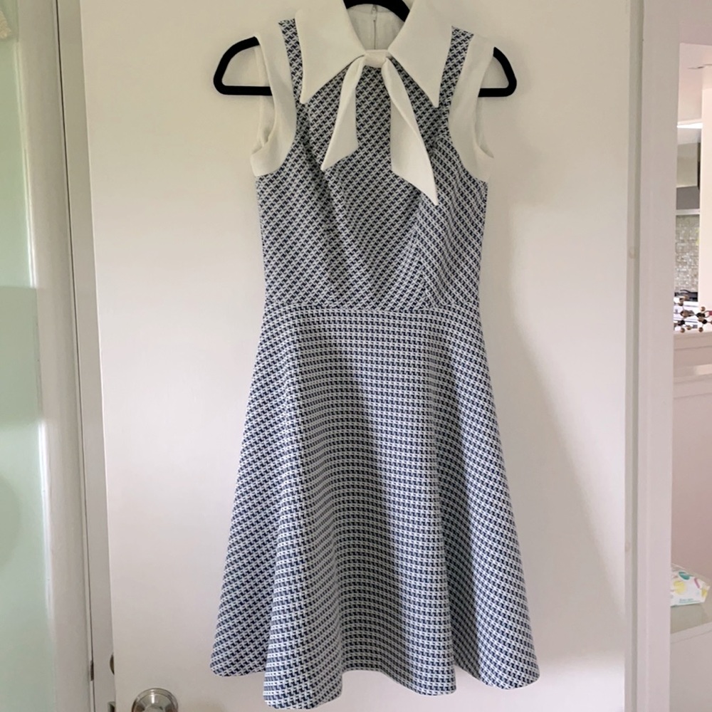 Vintage Fit and Flare Dress